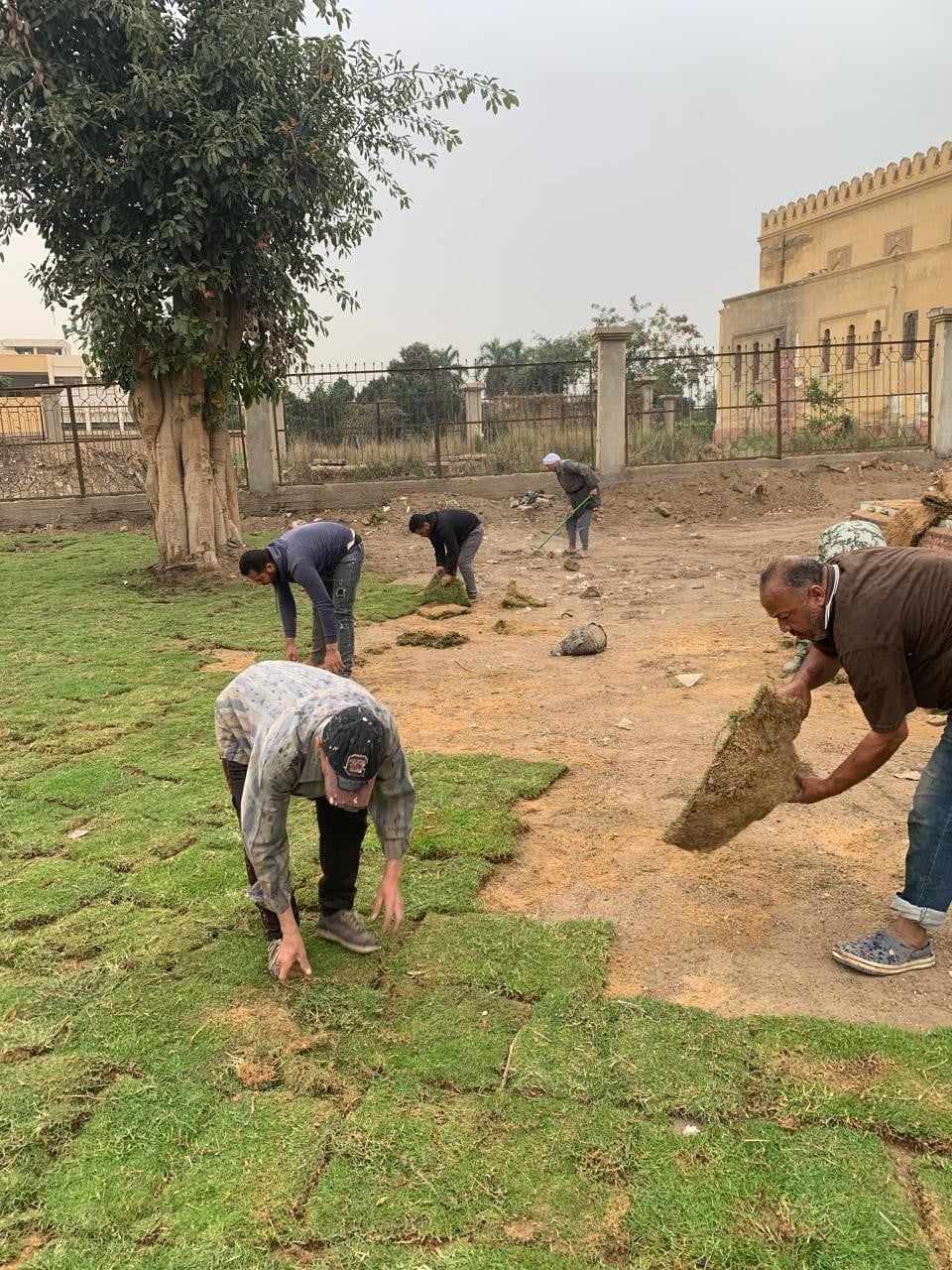 تركيب النجيل بالحدائق تركيب النجيل بالحدائق