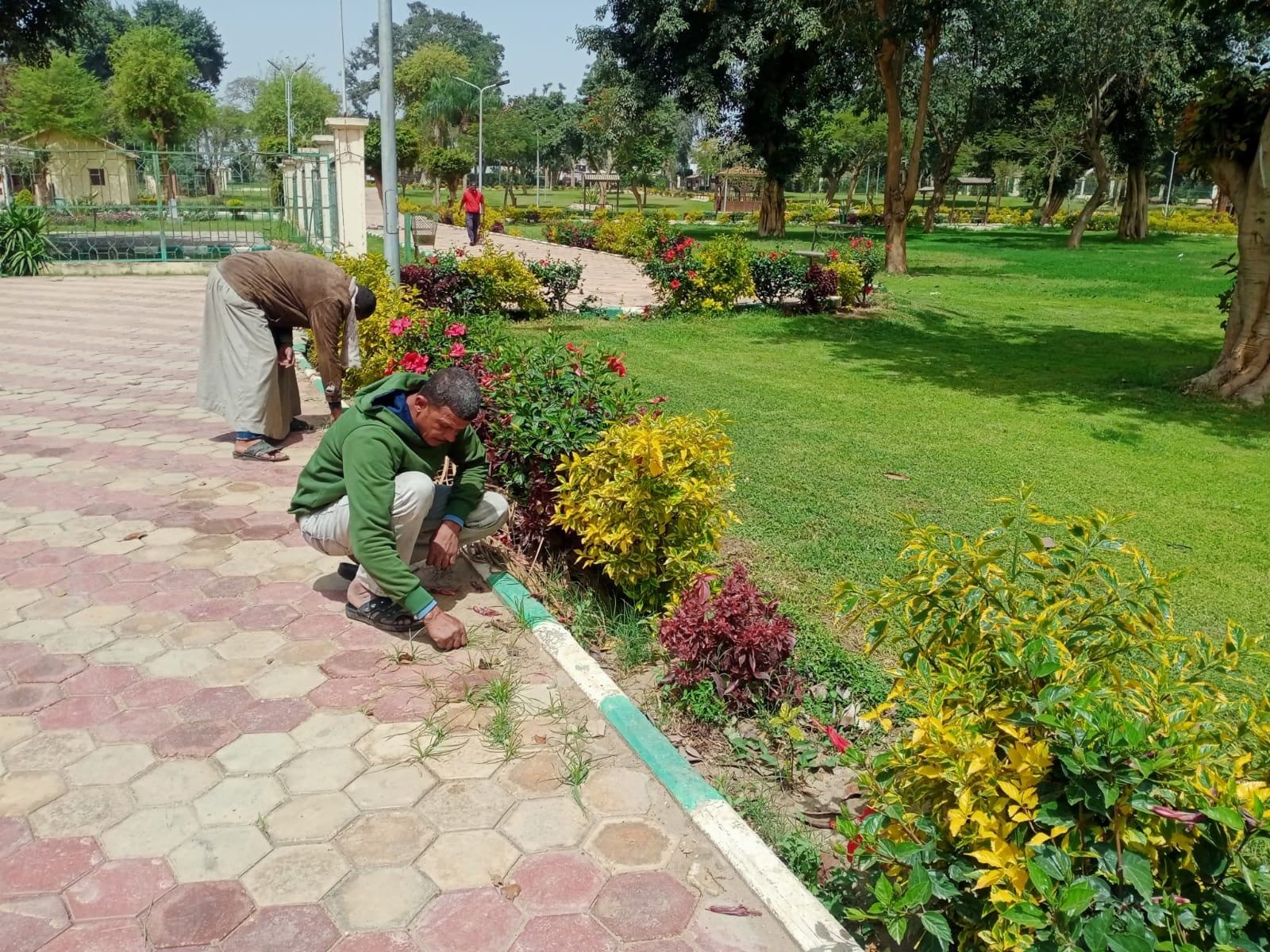 حدائق القناطر تتألق حدائق القناطر تتألق