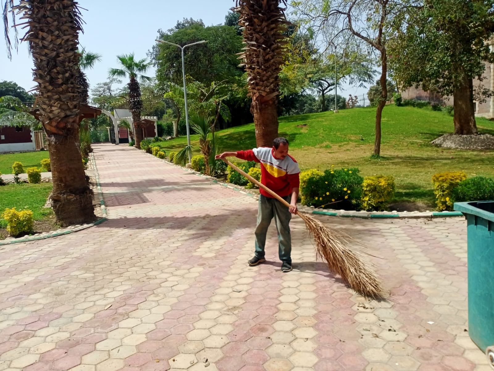 اللون الاخضر الجميل بالحدائق اللون الاخضر الجميل بالحدائق