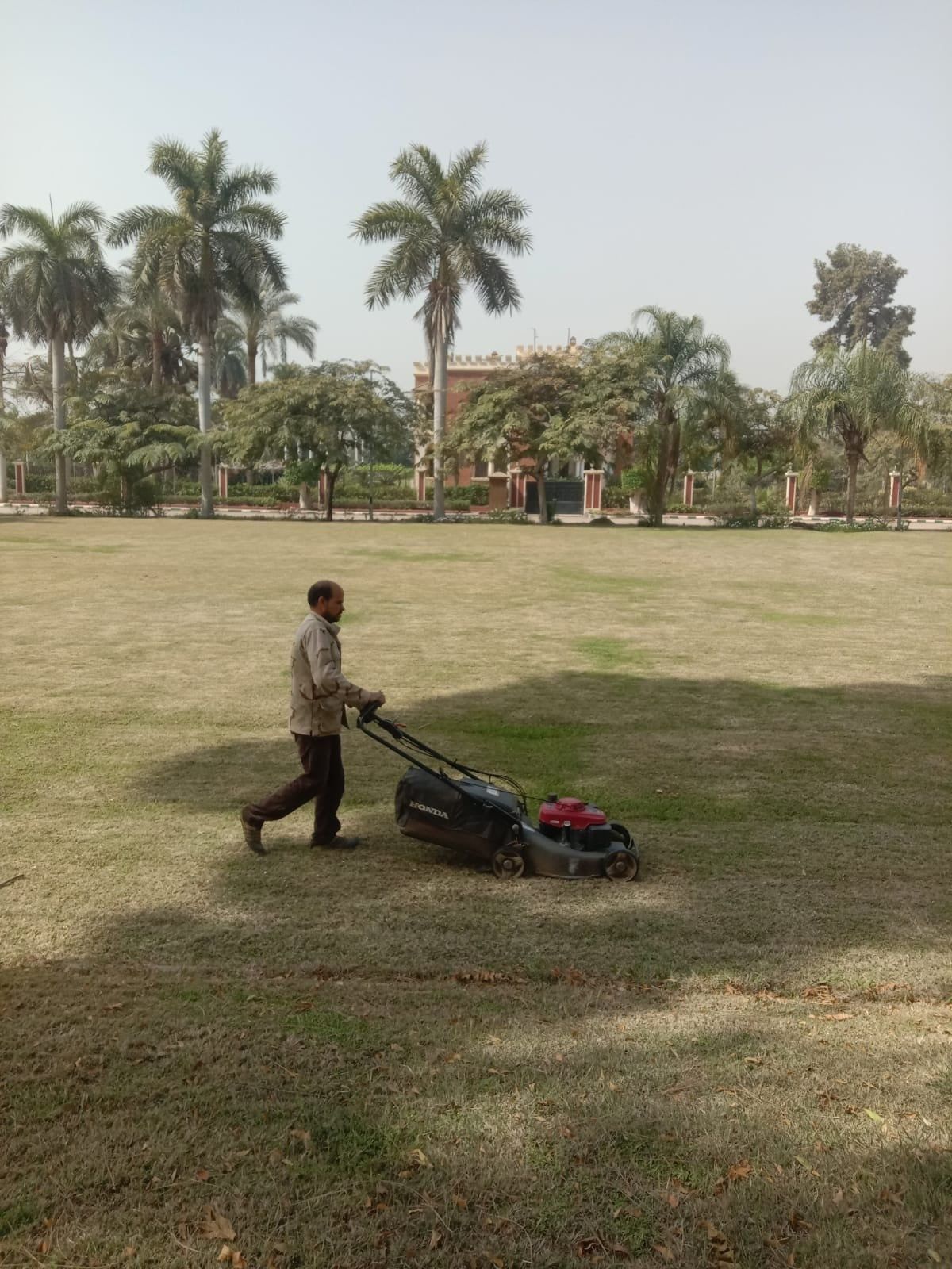 صيانة الحدائق_2 صيانة الحدائق_2