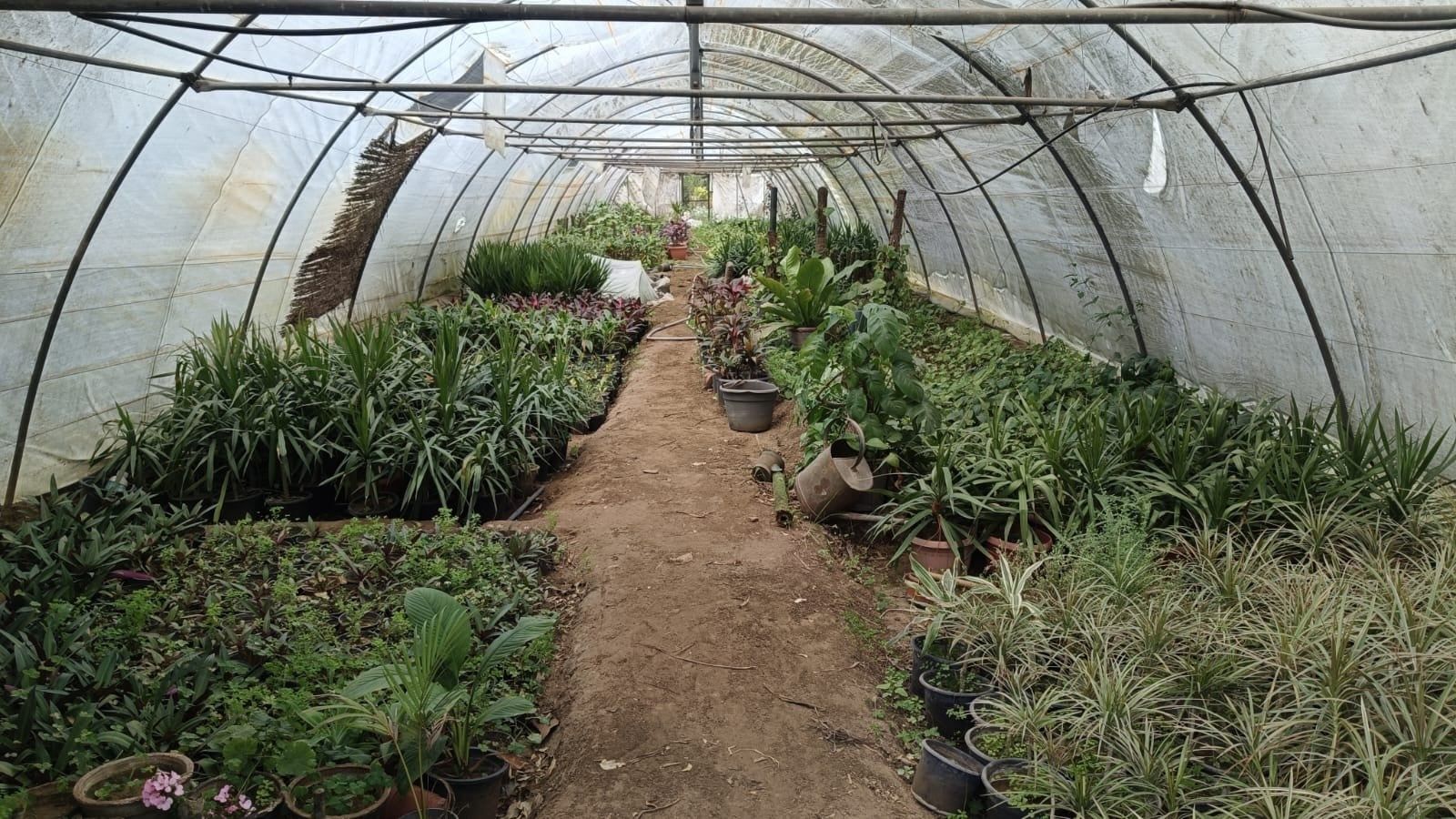 مشتل الحدائق_1 مشتل الحدائق_1