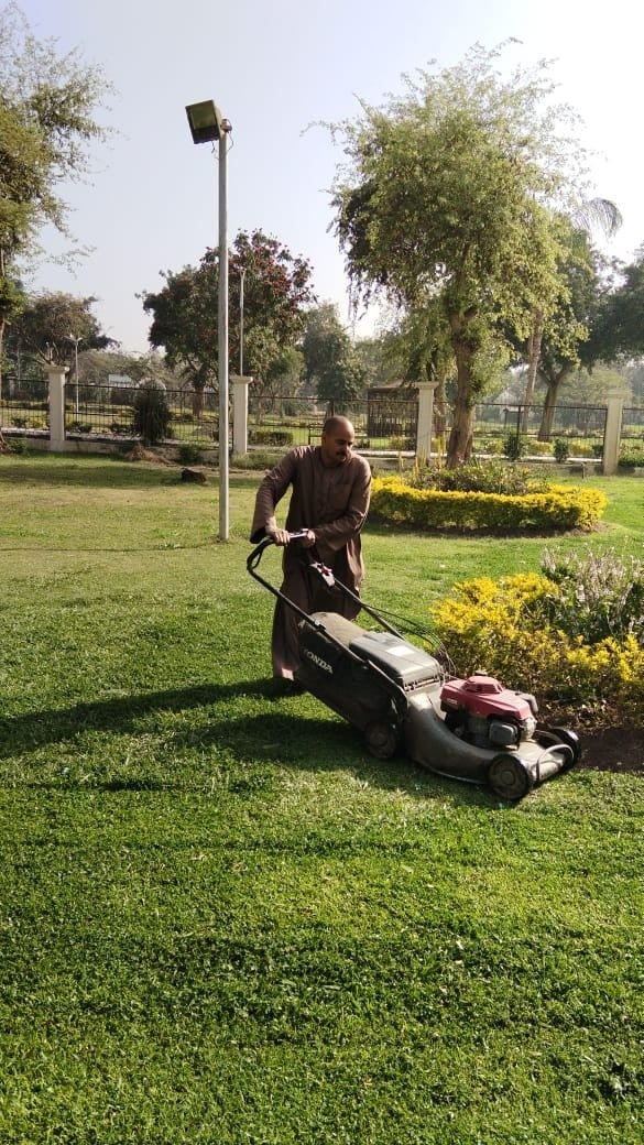 قص الحشائش قص الحشائش