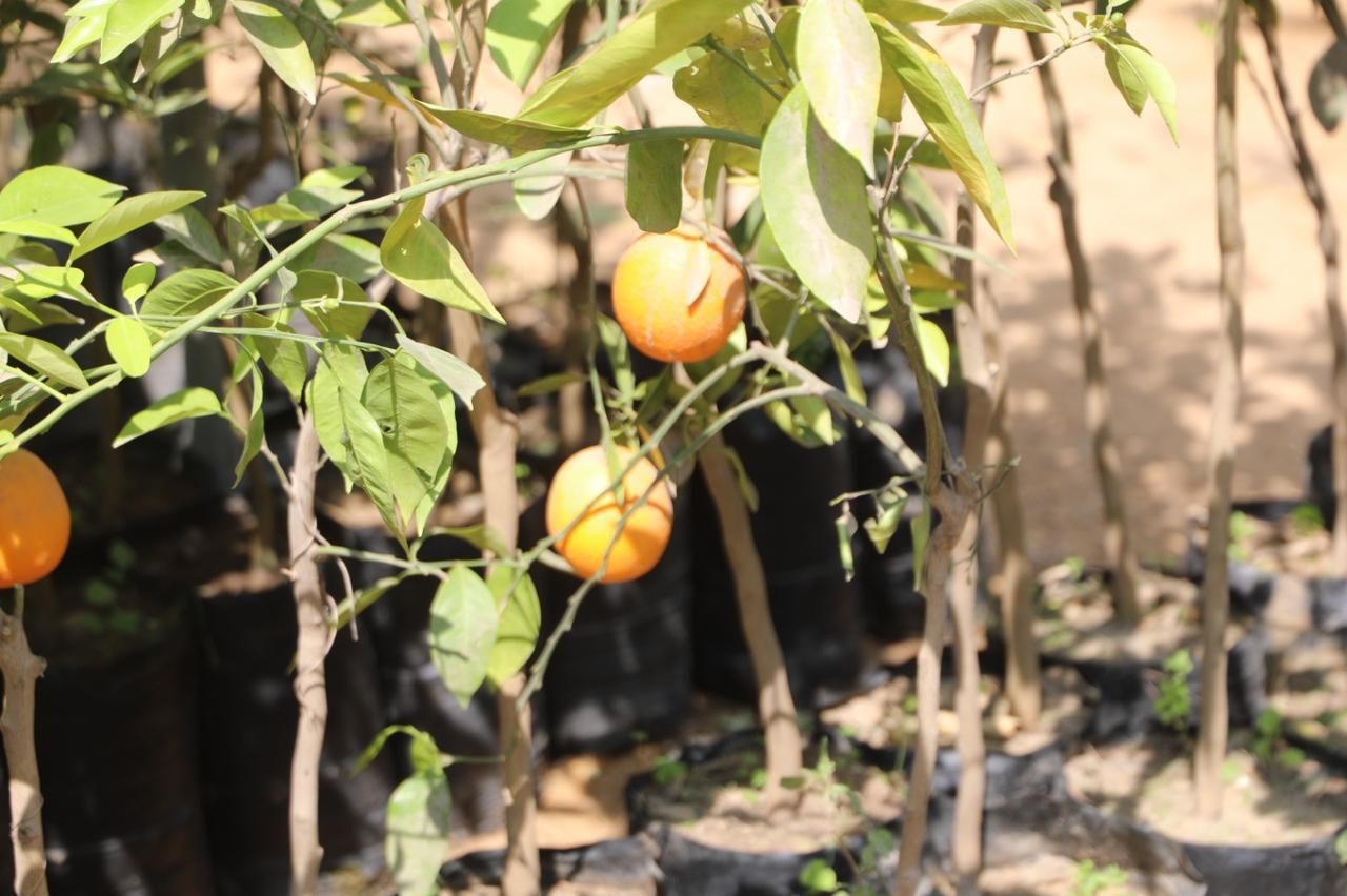 WhatsApp Image 2026-04-12 at 2.16.22 PM (1) WhatsApp Image 2026-04-12 at 2.16.22 PM (1)