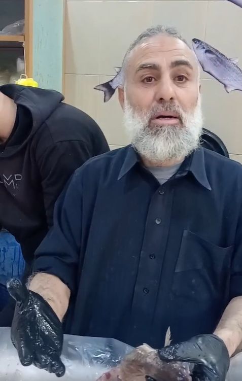 السمك البوري أنواع ولابد من اختيار السمكة المتميزة السمك البوري أنواع ولابد من اختيار السمكة المتميزة