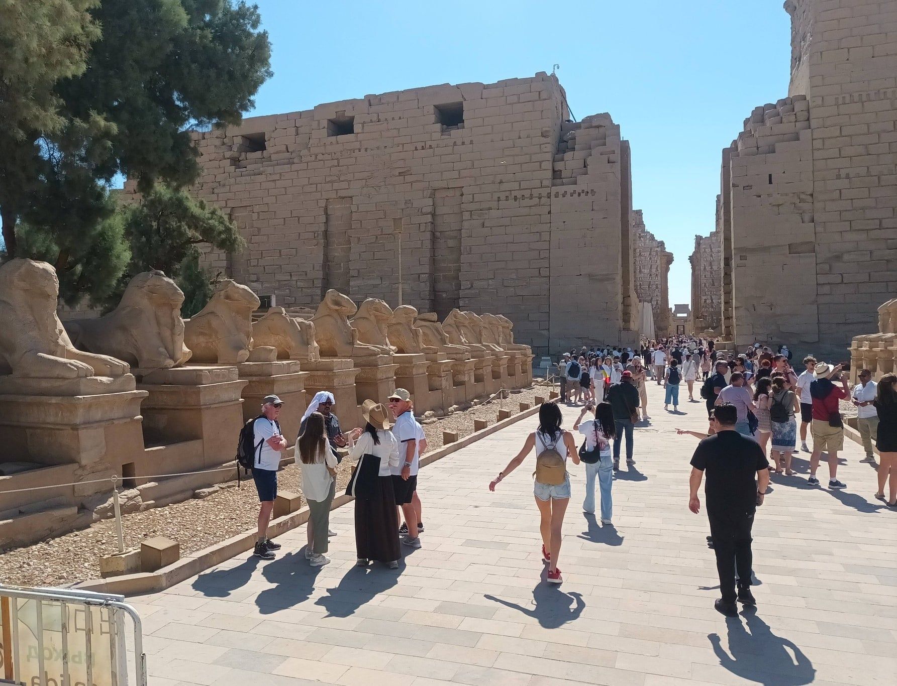 جانب من التوافد الكبير للسائحين بمعابد الكرنك جانب من التوافد الكبير للسائحين بمعابد الكرنك