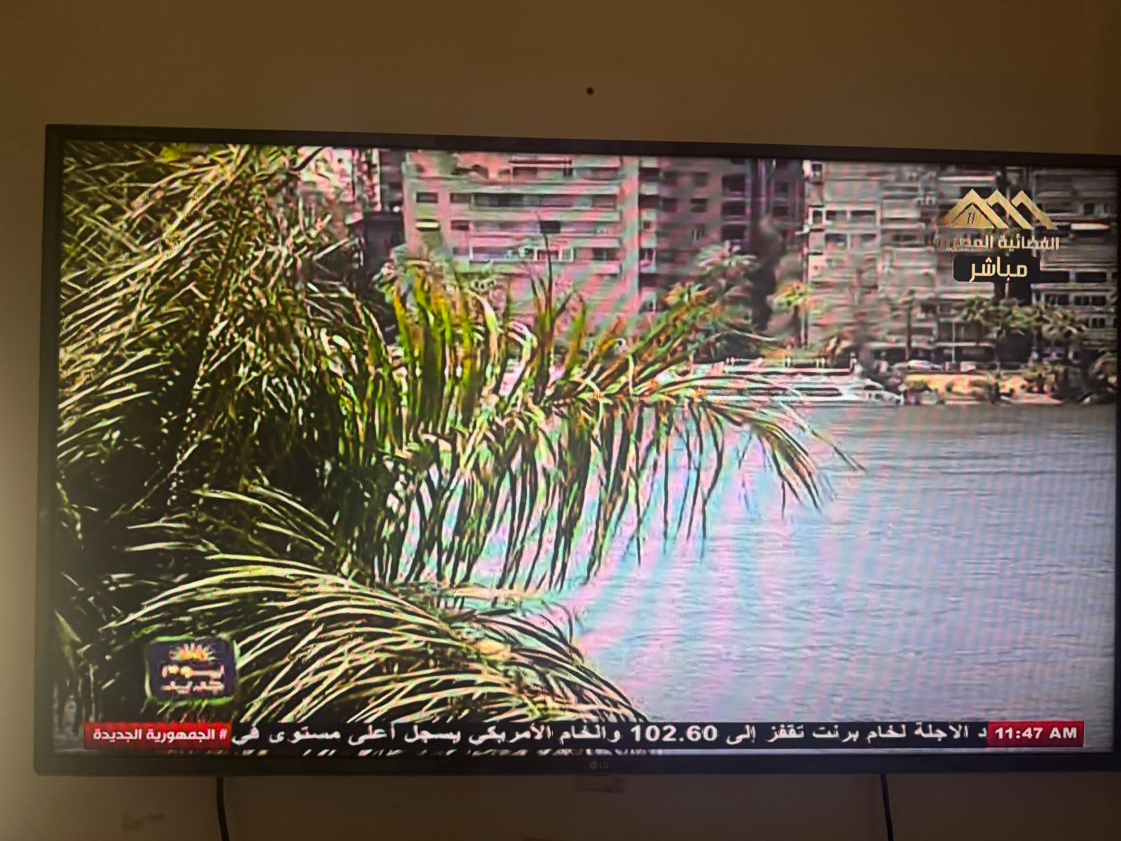 احتفالات شم النسيم من استديو ماسبيرو النهرى (3) احتفالات شم النسيم من استديو ماسبيرو النهرى (3)