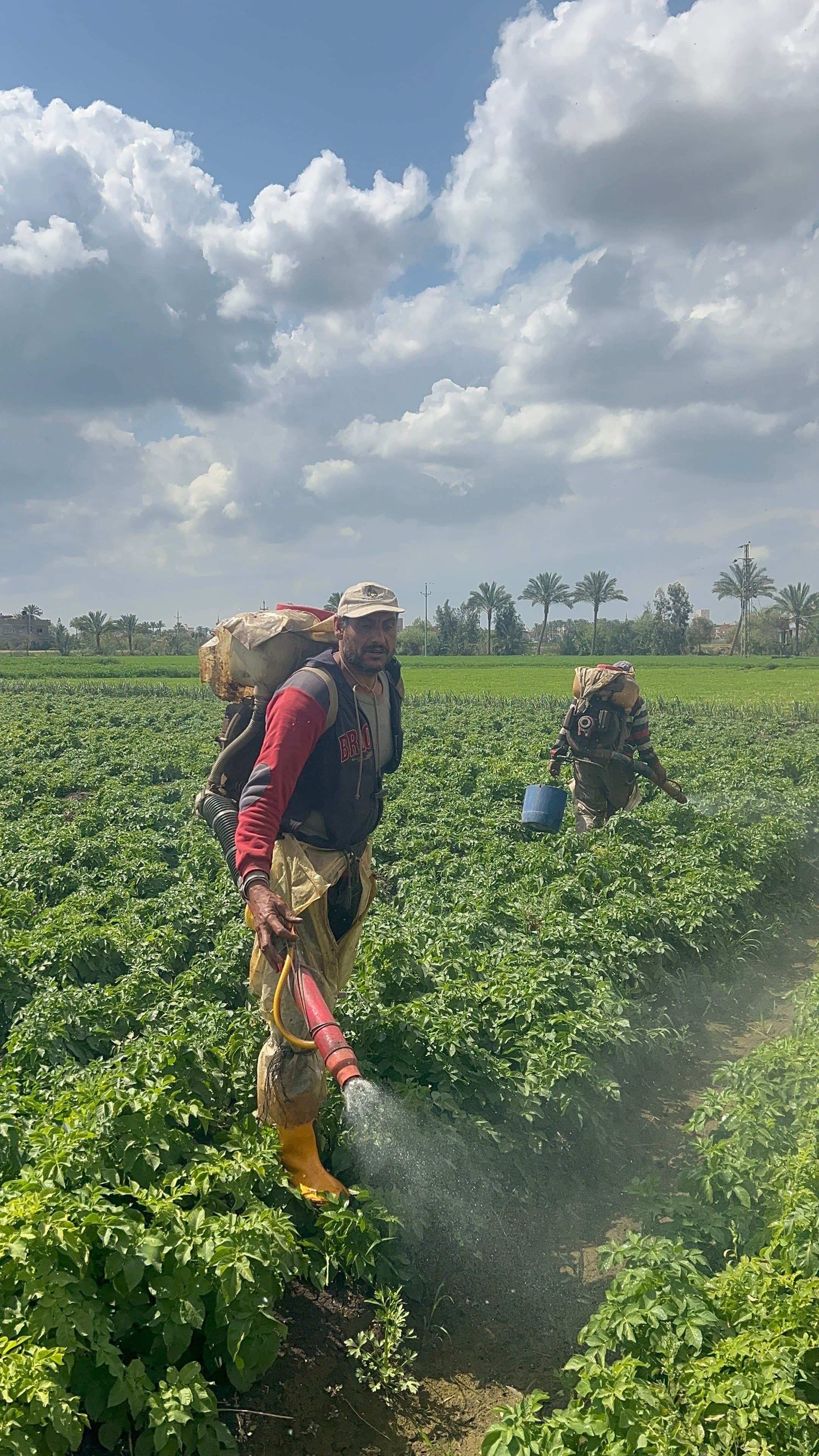 المزارعون المزارعون