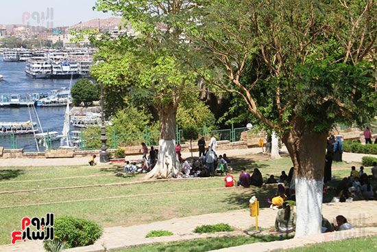 الحديقة-فى-المناسبات-تستقبل-المواطنين الحديقة-فى-المناسبات-تستقبل-المواطنين