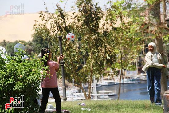 اللعب-داخل-الحديقة اللعب-داخل-الحديقة