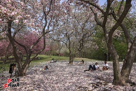 حديقة بروسبكت بارك في حي بروكلين بمدينة نيويورك حديقة بروسبكت بارك في حي بروكلين بمدينة نيويورك