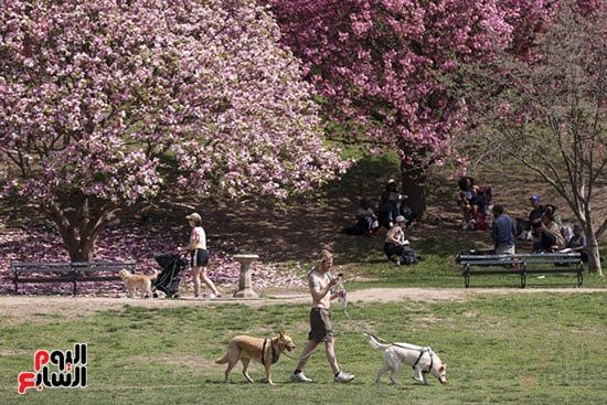 اصطحاب البعض حيواناتهم الأليفة اصطحاب البعض حيواناتهم الأليفة