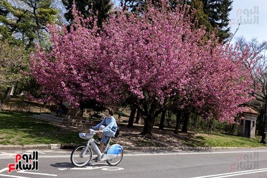 ركوب الدرجات فى أجواء الربيع ركوب الدرجات فى أجواء الربيع