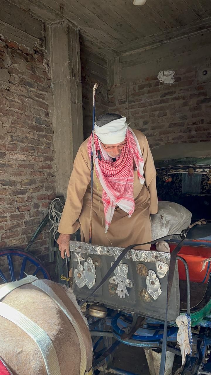 عم بركات اثناء استقلاله للحنطور عم بركات اثناء استقلاله للحنطور