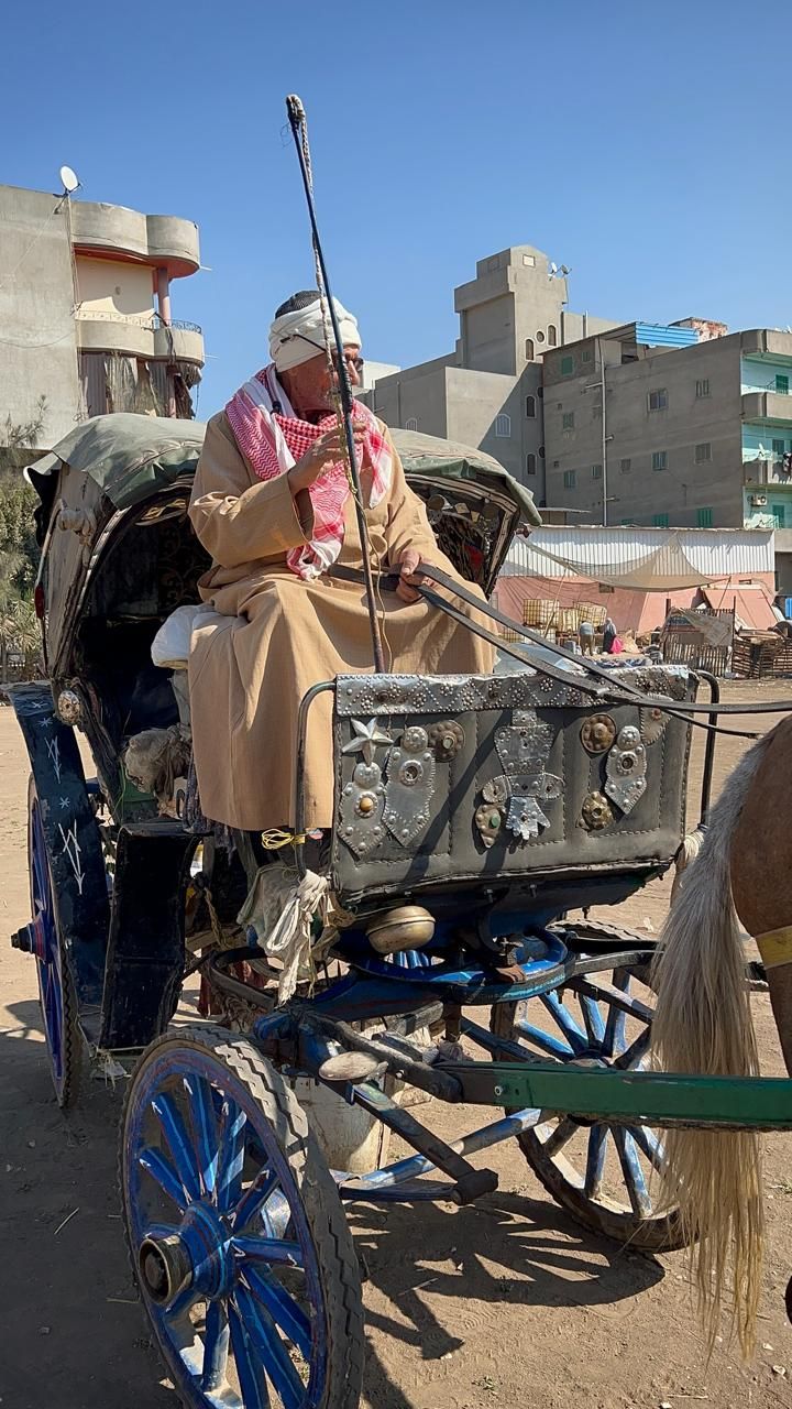 الحنطور الوحيد الذي مازال موجودا الحنطور الوحيد الذي مازال موجودا