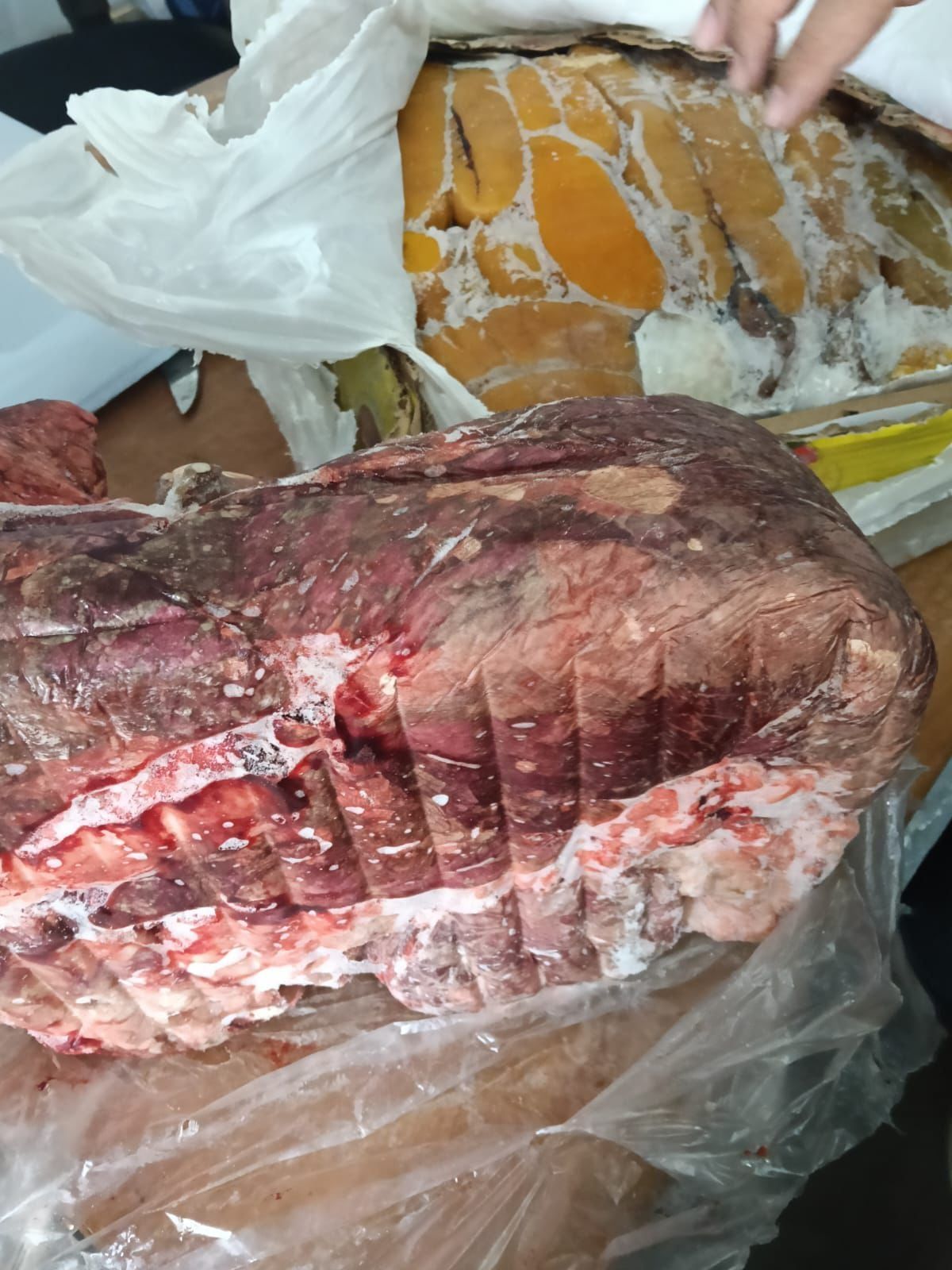 اللحوم والبطارخ اللحوم والبطارخ