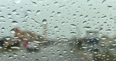 9a695f4369.jpg