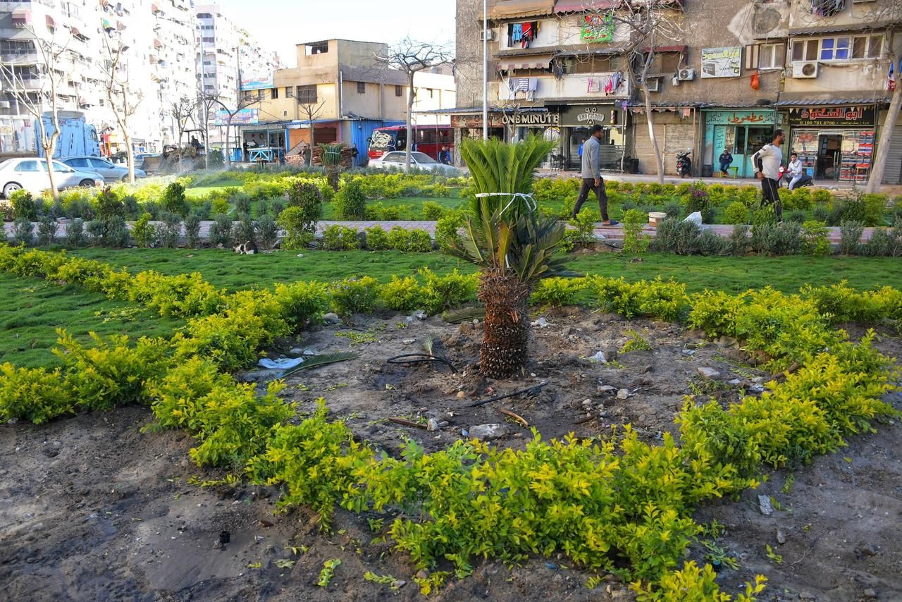 المساحات الخضراء بالامل المساحات الخضراء بالامل