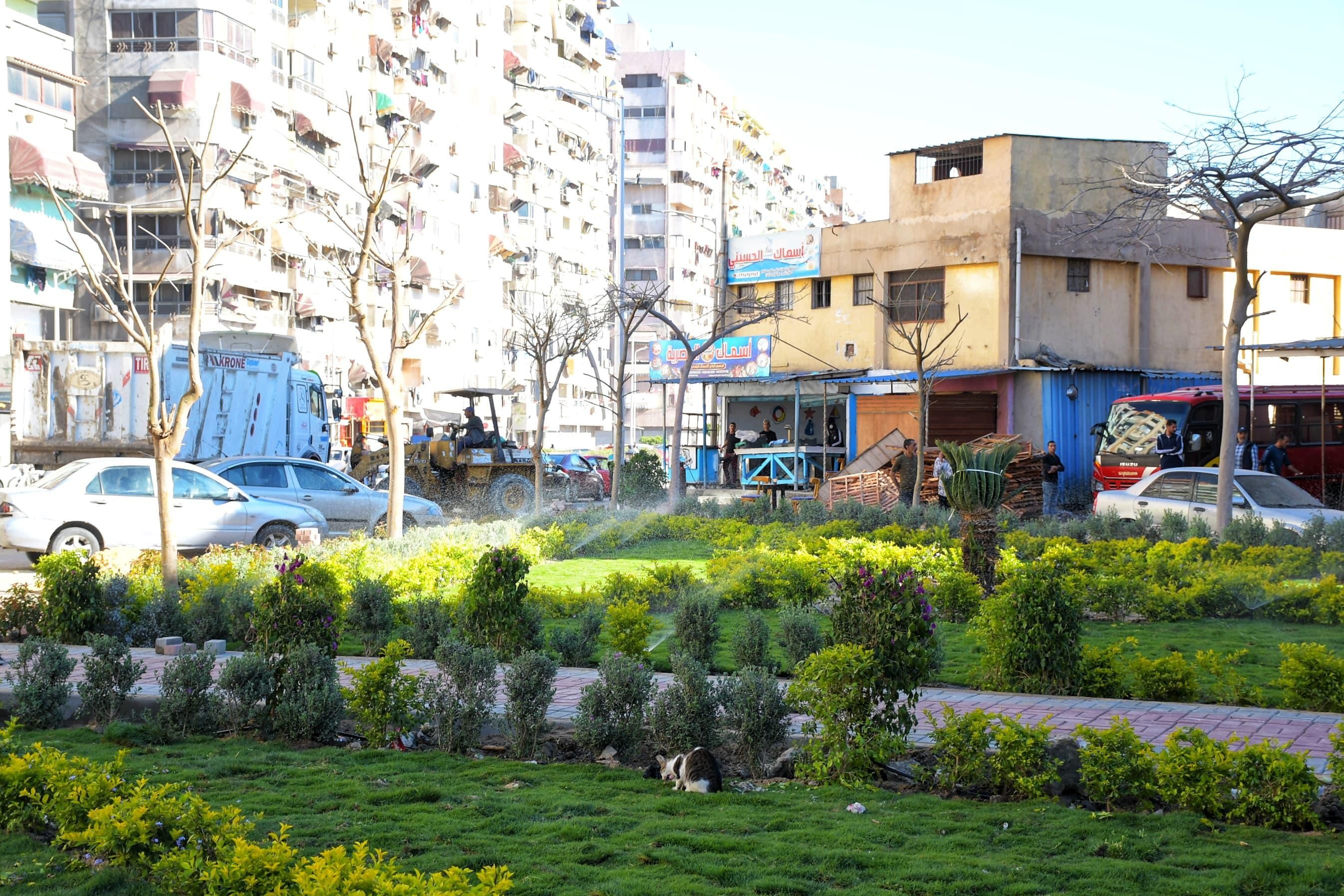 مساحات خضراء مساحات خضراء