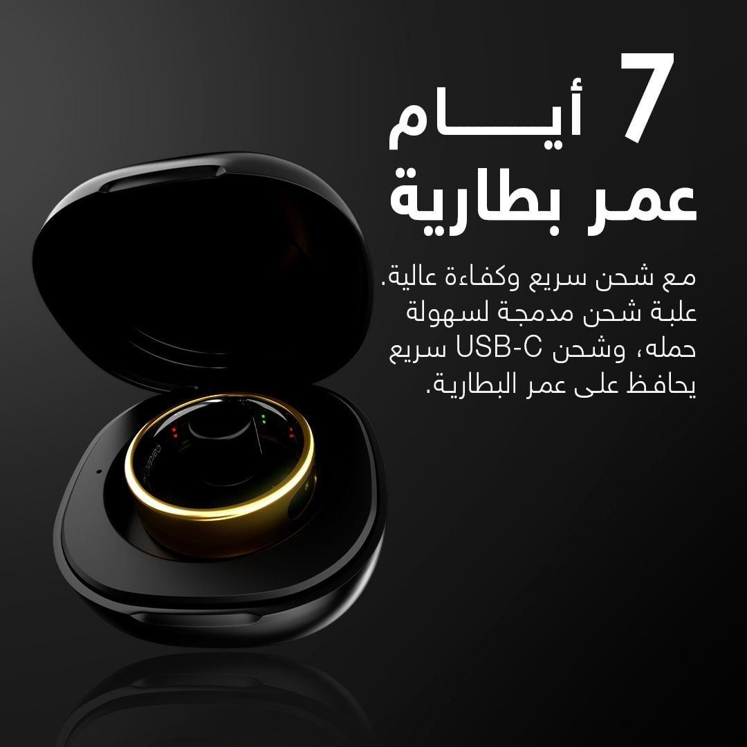 أول خاتم ذكى مصري (10) أول خاتم ذكى مصري (10)