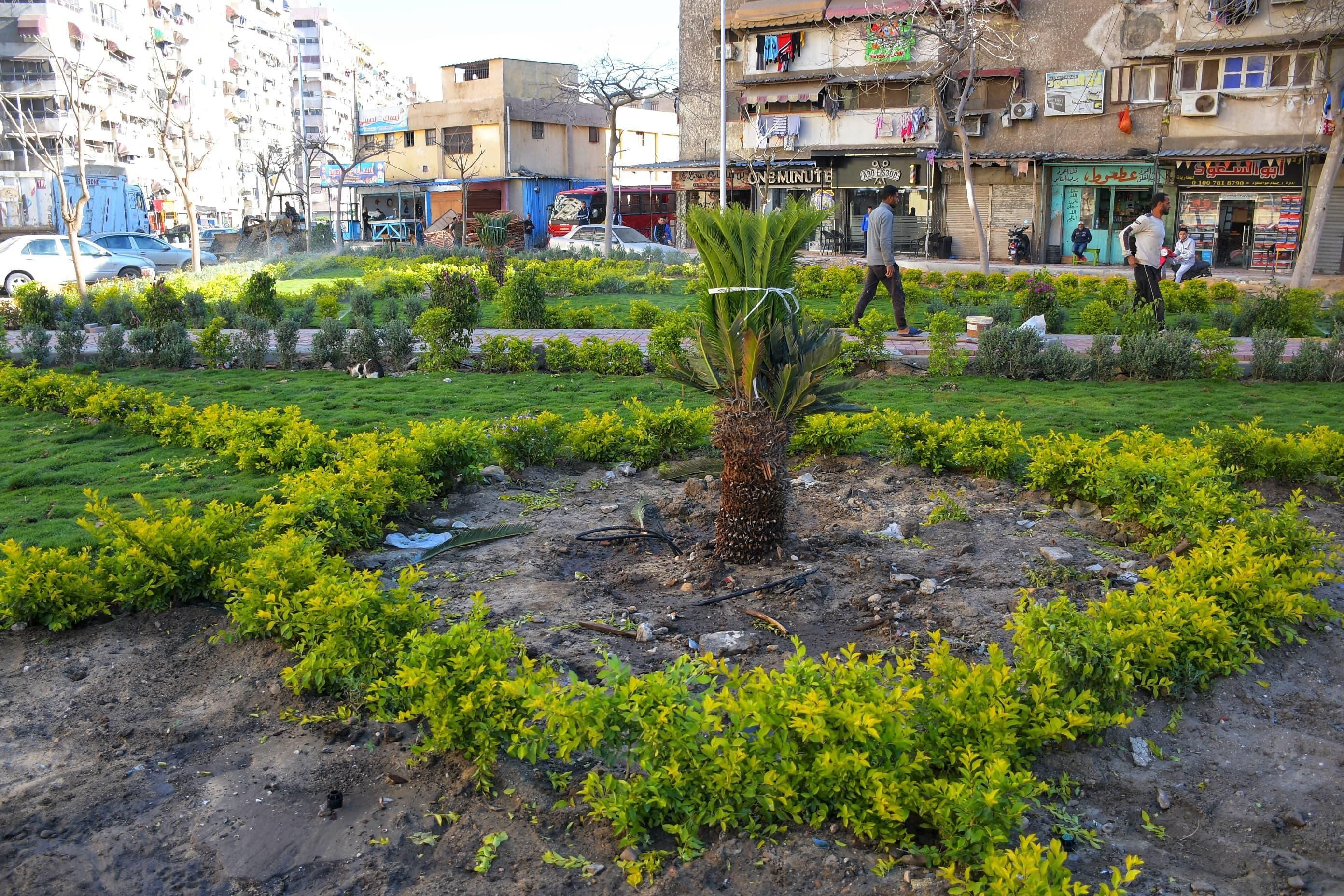 مسطح اخضر مسطح اخضر