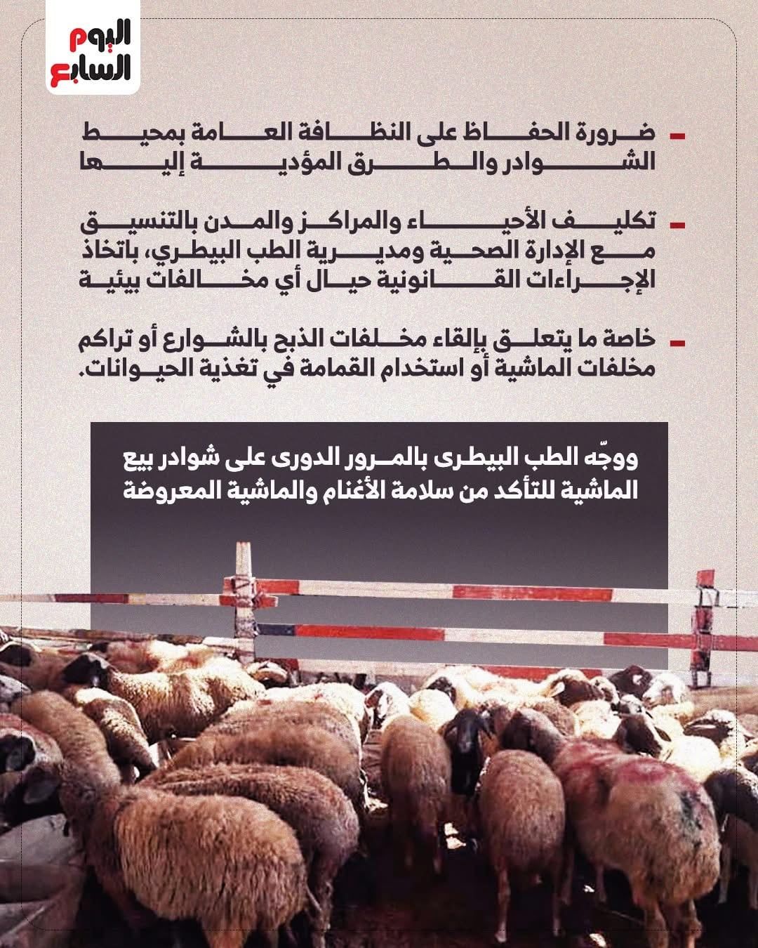 حظر إقامة شوادر بيع الأضاحى بالشوارع الرئيسية والميادين