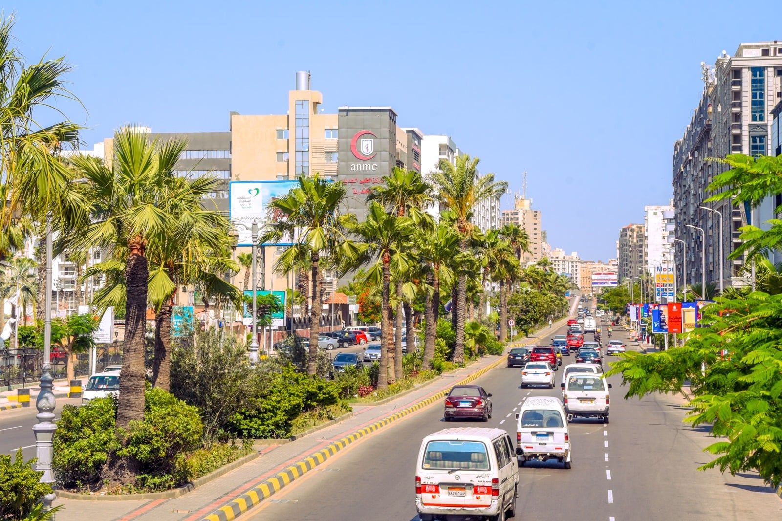 تقليم الاشجار تقليم الاشجار