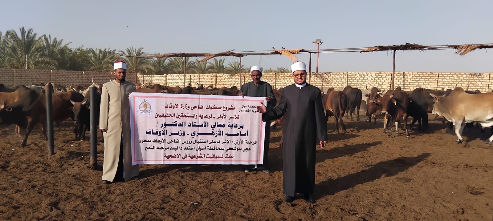 الأوقاف تتابع تجهيز الأضاحي بمجازر أبو سمبل استعدادًا للعيد الأوقاف تتابع تجهيز الأضاحي بمجازر أبو سمبل استعدادًا للعيد