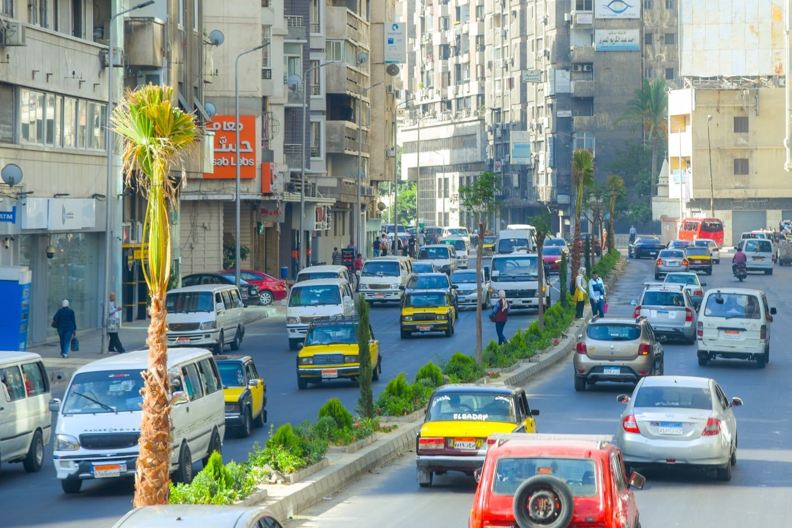 تنسيق المسطحات الخضراء تنسيق المسطحات الخضراء