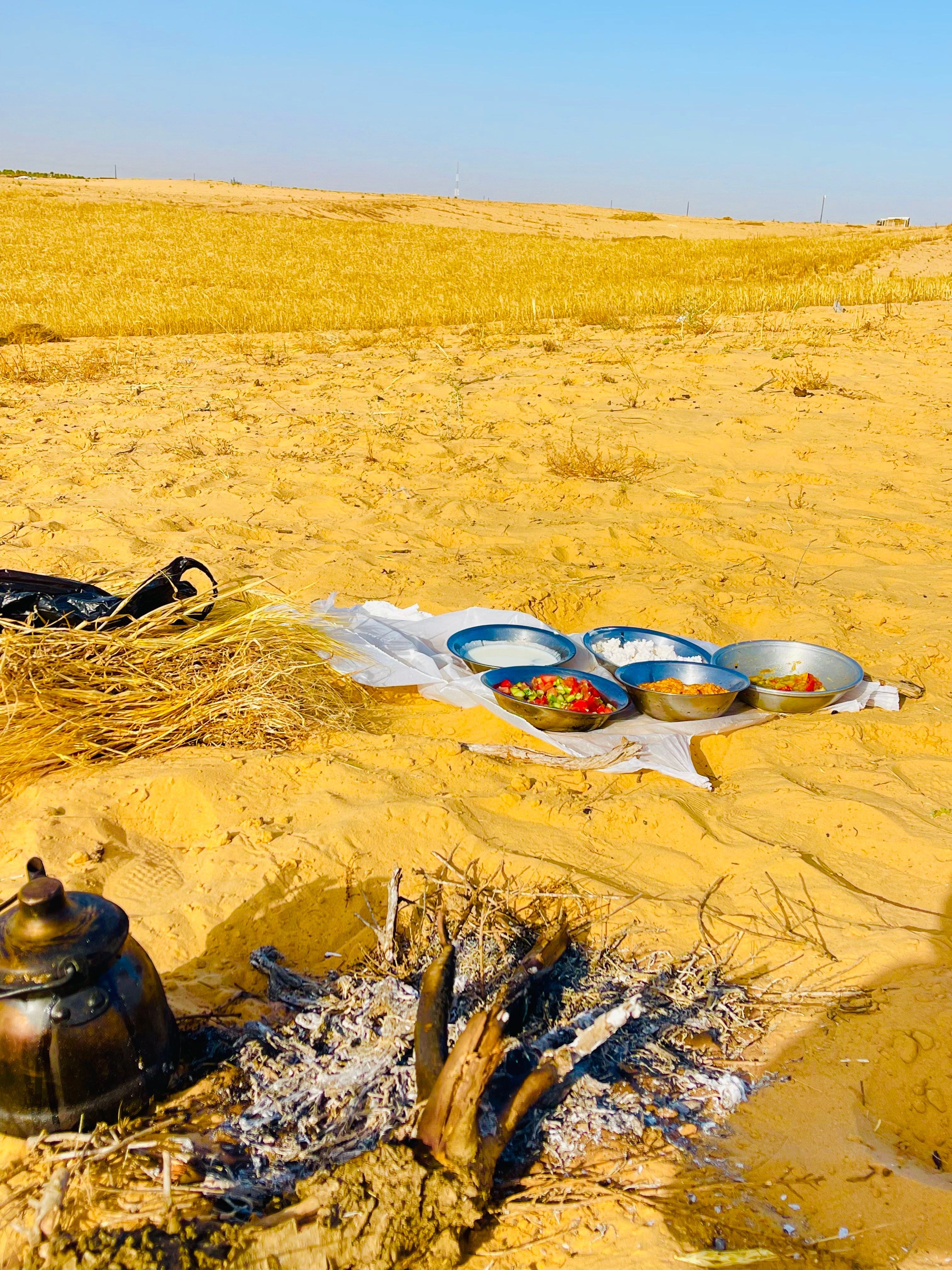 إفطار اثناء الحصاد مع براد شاي إفطار اثناء الحصاد مع براد شاي