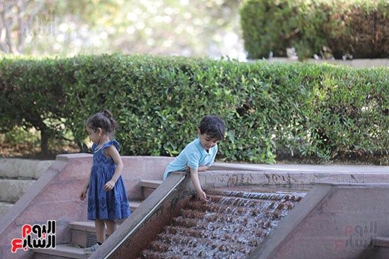 حديقة الأزهر (2) حديقة الأزهر (2)