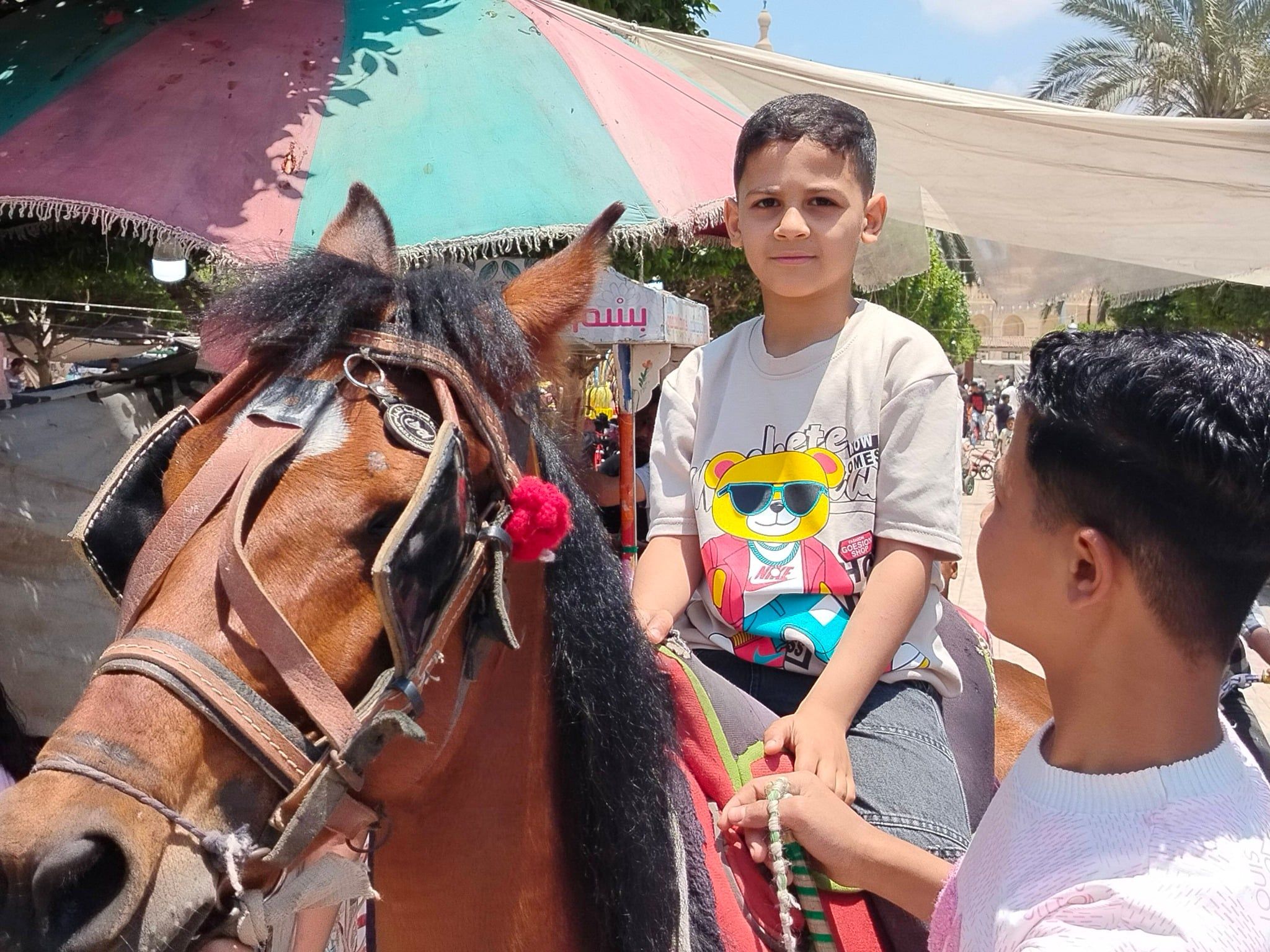 أطفال يهوون امتطاء الخيول أطفال يهوون امتطاء الخيول