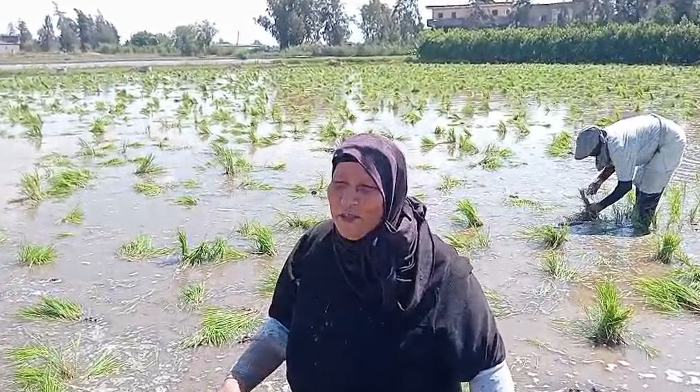 ألفت لا نعرف إجازة الأعياد ألفت لا نعرف إجازة الأعياد