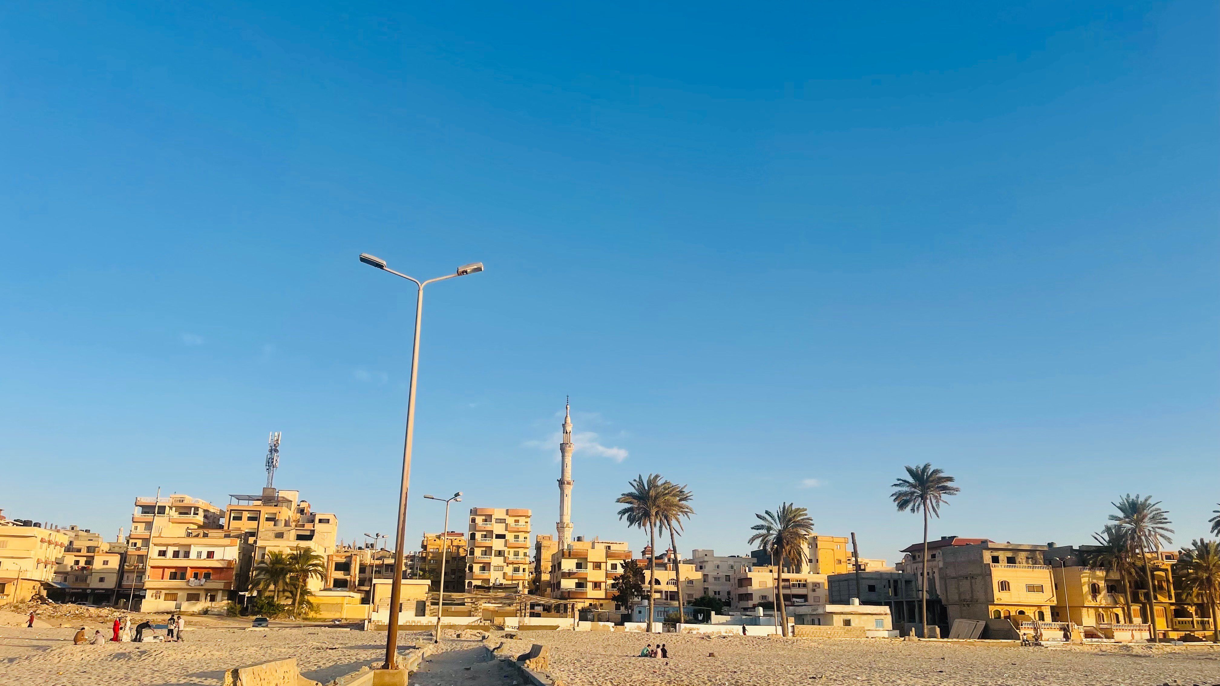 النخيل علي شواطيء الايوبي _1 النخيل علي شواطيء الايوبي _1