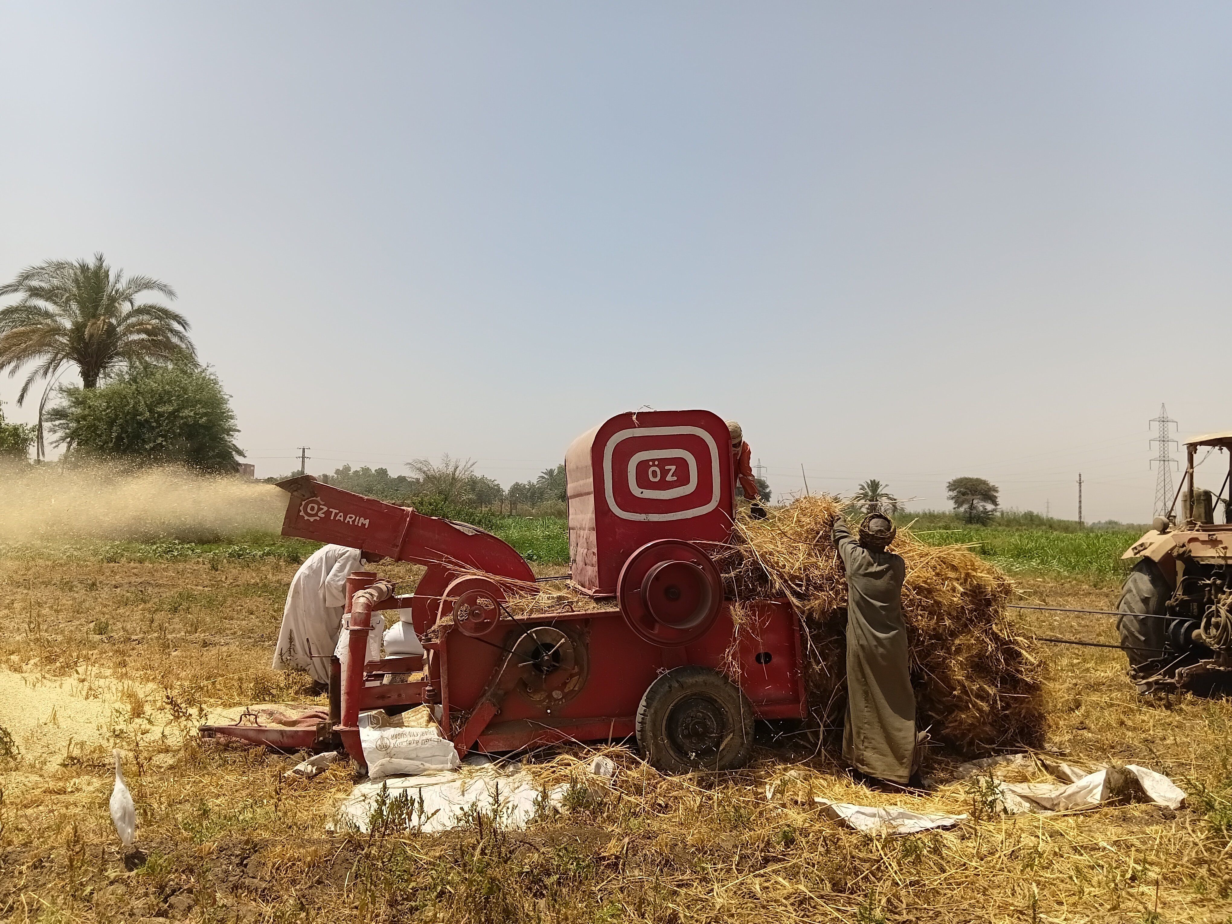 أسوان تعيش في موسم الخير أسوان تعيش في موسم الخير