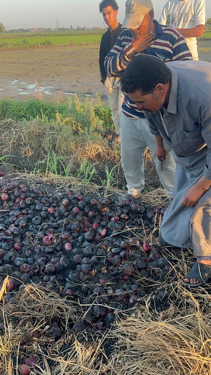 حزن ملاك المحصول بعد الحريق حزن ملاك المحصول بعد الحريق