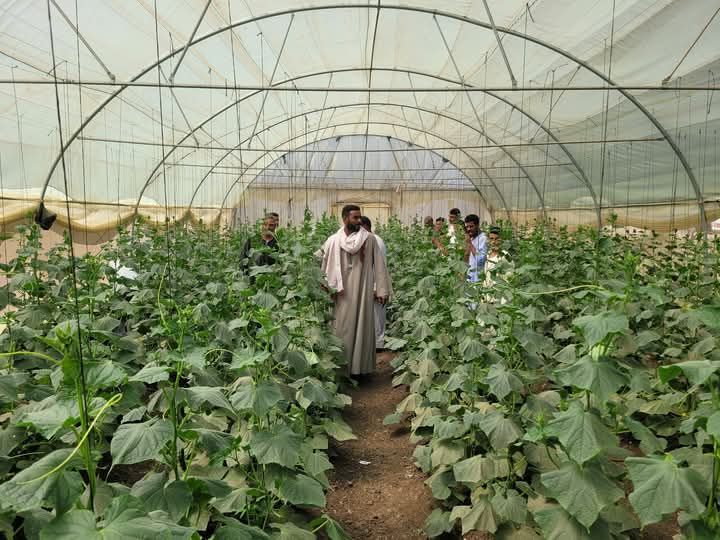 نجاح أهداف المشروع وطموح المزارعين نجاح أهداف المشروع وطموح المزارعين