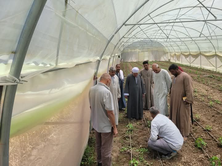 باستخدام طرق زراعية صحيحة باستخدام طرق زراعية صحيحة