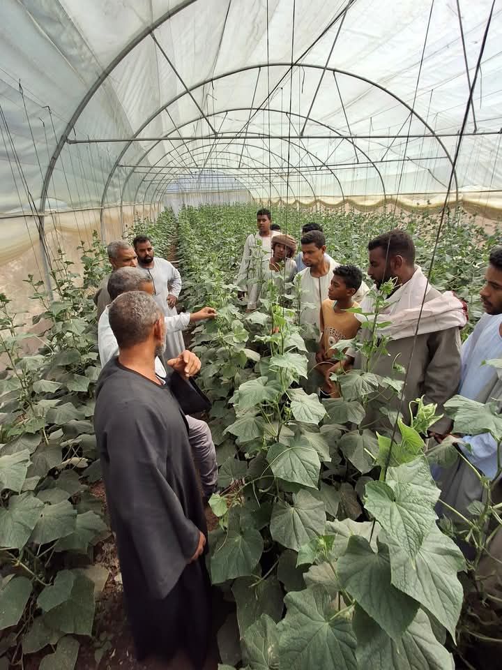 الإنتاج ثابت وجودته عالية الإنتاج ثابت وجودته عالية