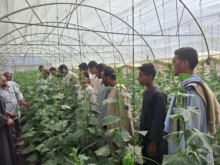 مواجهة تحديات الظروف المناخية مواجهة تحديات الظروف المناخية