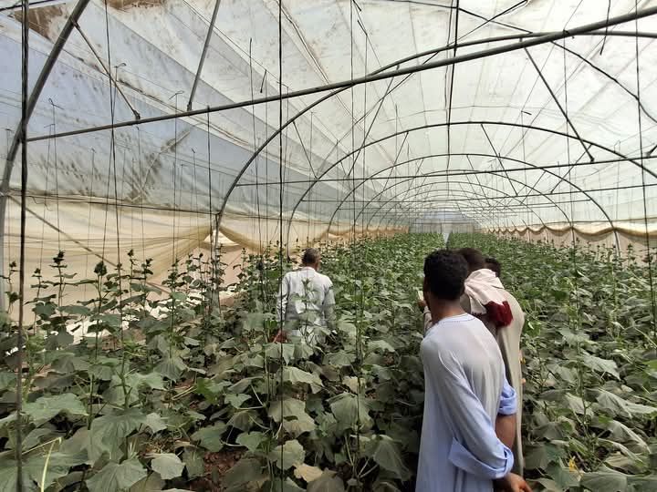 نجاح أهداف المشروع نجاح أهداف المشروع