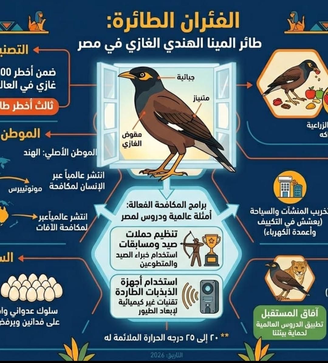 ماهو طائر ماهو طائر