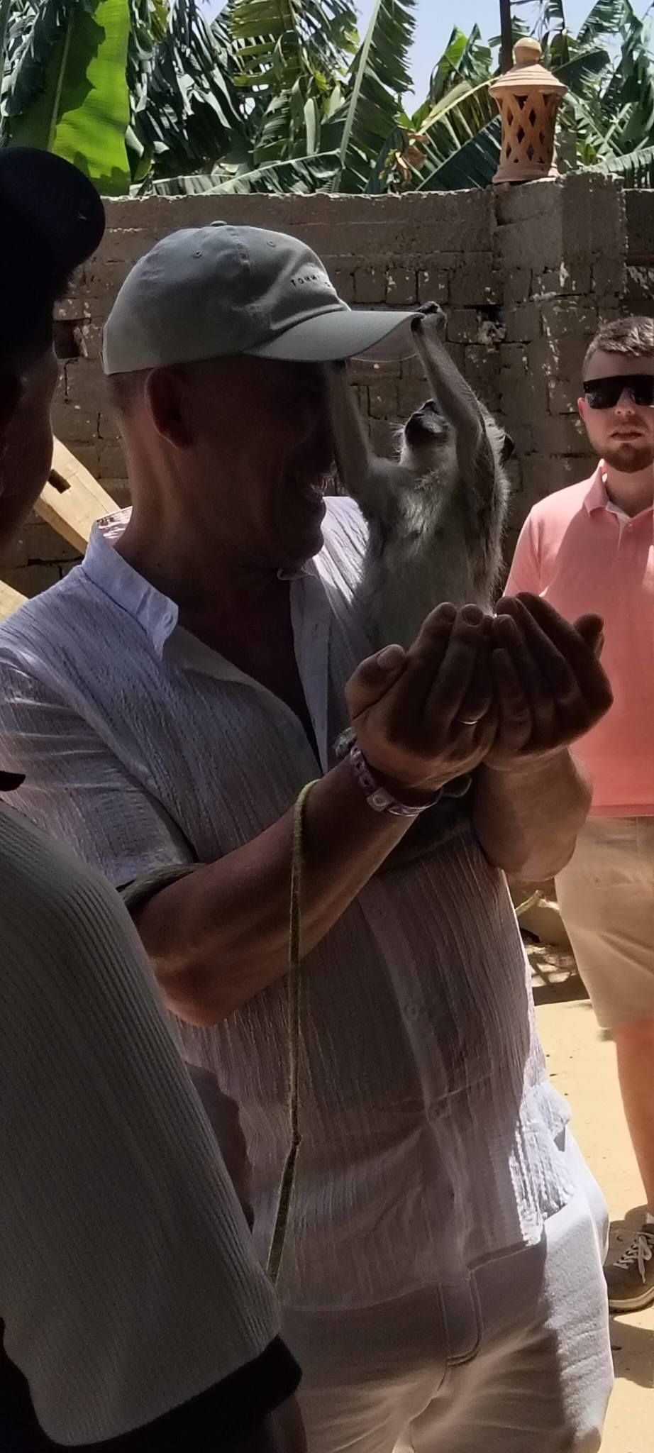 بهجة الأجانب مع القرود فى جزيرة الموز بالأقصر بهجة الأجانب مع القرود فى جزيرة الموز بالأقصر