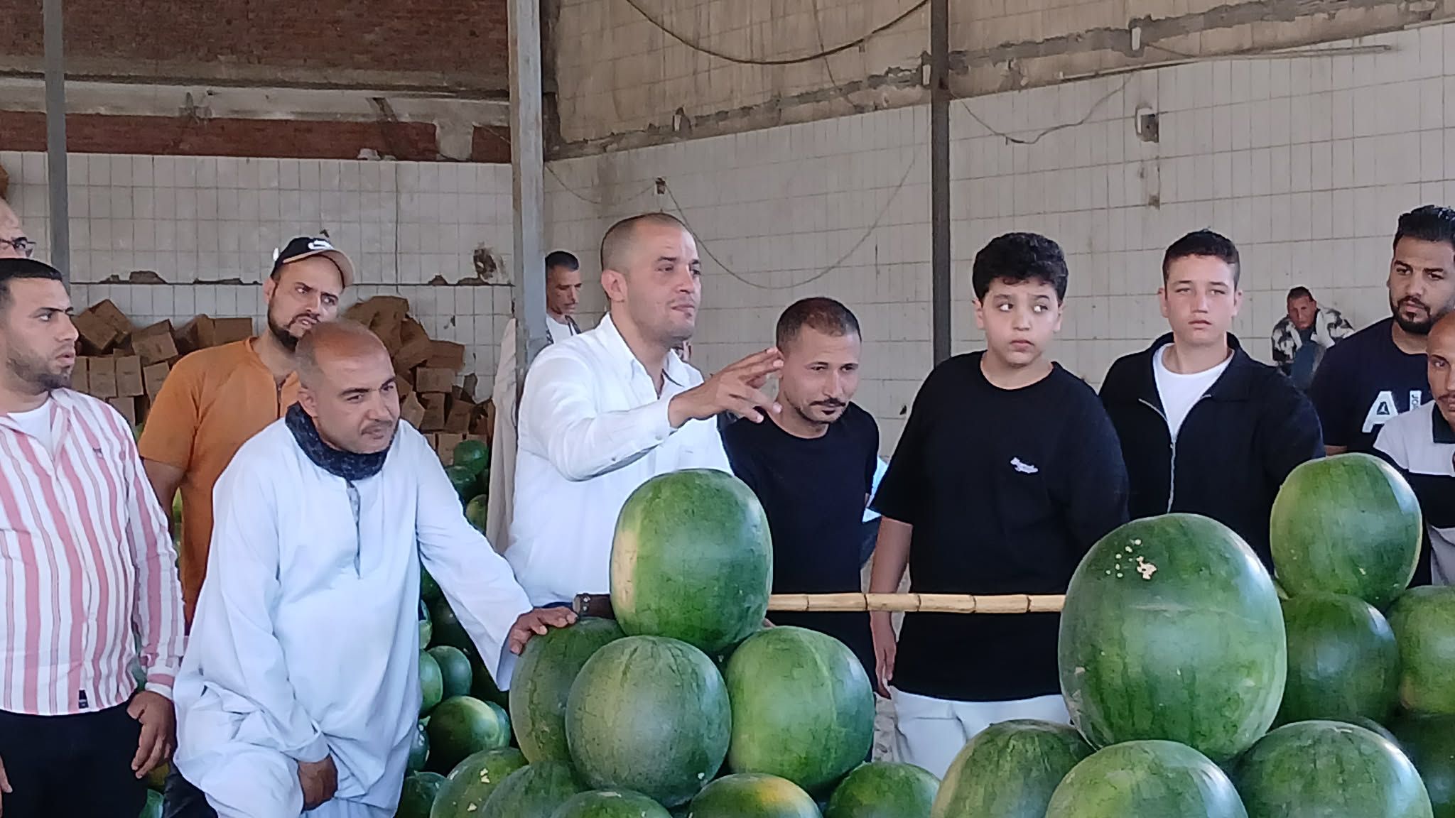 مزاد البيطخ الوزن يصل الي 15 كيلو للواحده في الإسكندرية مزاد البيطخ الوزن يصل الي 15 كيلو للواحده في الإسكندرية