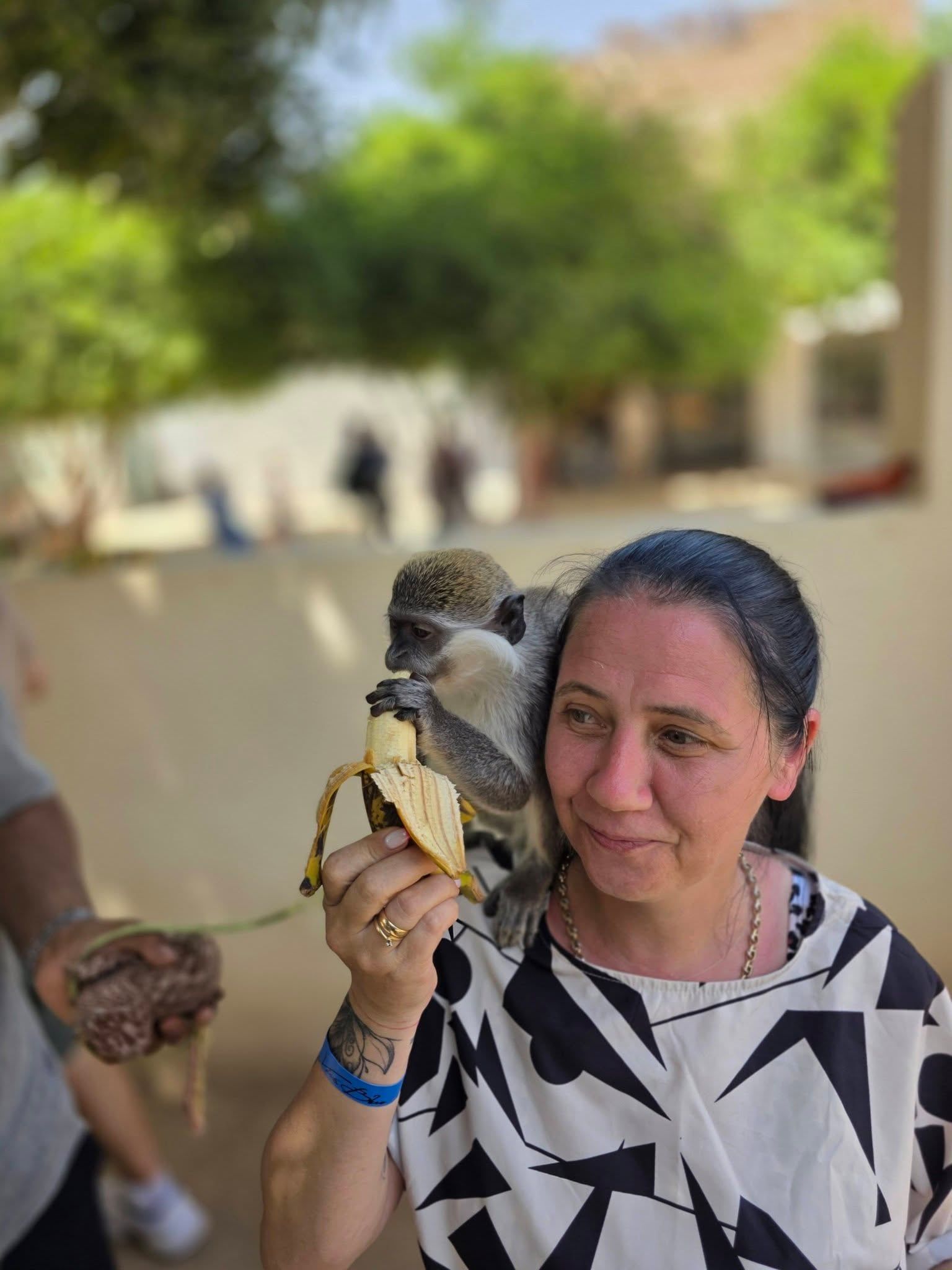 استمتاع أجنبية باللهو مع قرود جزيرة الموز استمتاع أجنبية باللهو مع قرود جزيرة الموز