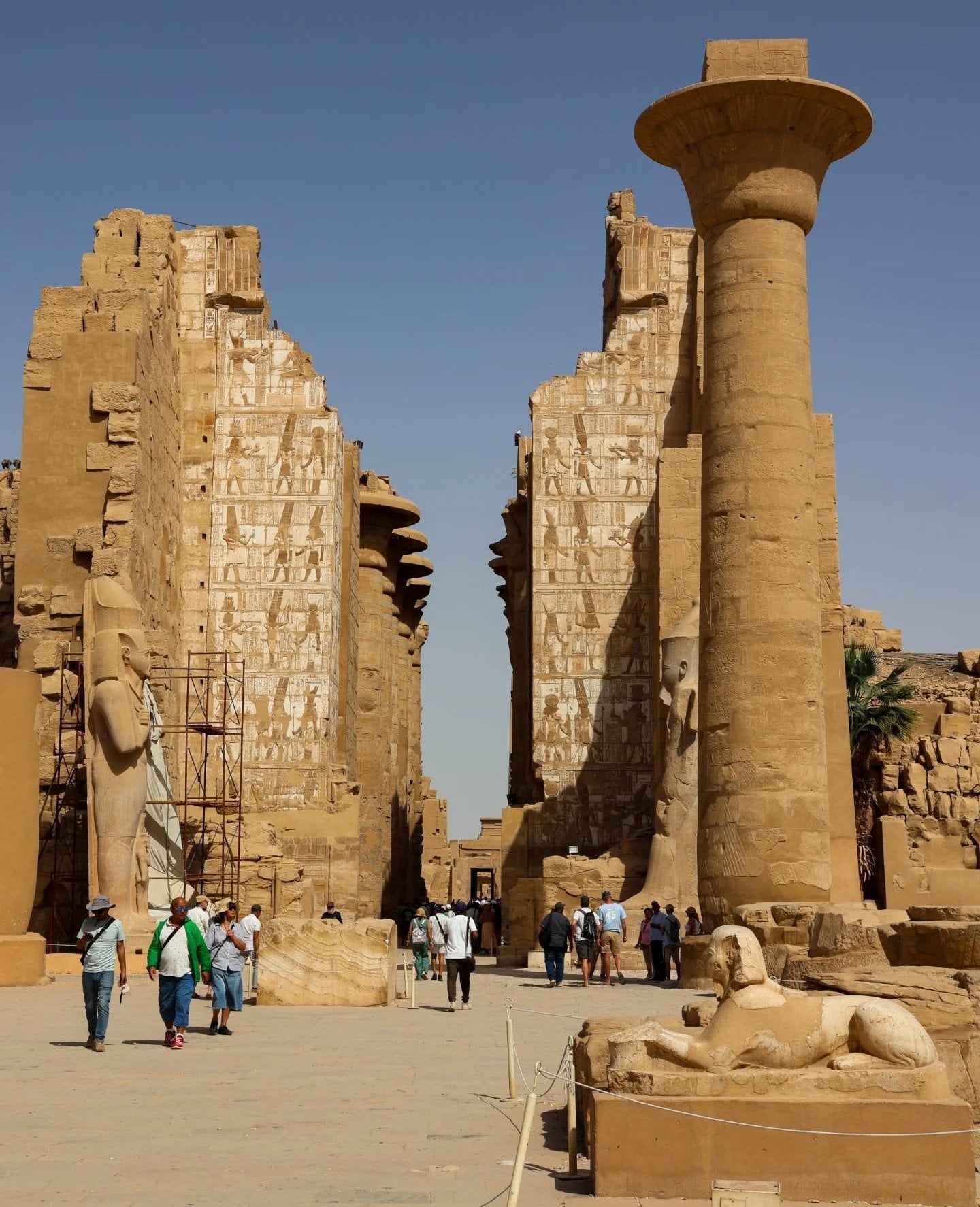 الأسر والعائلات الأجانب يعيشون أجواء سعيدة بصورة يومية في قلب معبد الأقصر الأسر والعائلات الأجانب يعيشون أجواء سعيدة بصورة يومية في قلب معبد الأقصر
