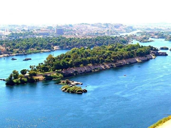 جزيرة النباتات جزيرة النباتات