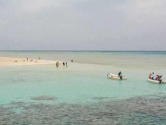 جزيرة شواريت جنوب مرسى علم جزيرة شواريت جنوب مرسى علم