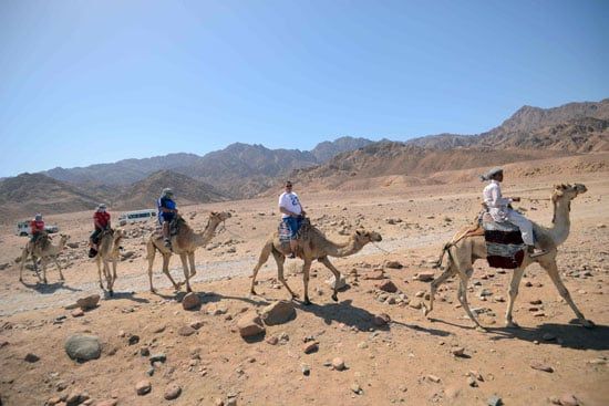 ركوب الجمال وسط الصحراء ركوب الجمال وسط الصحراء
