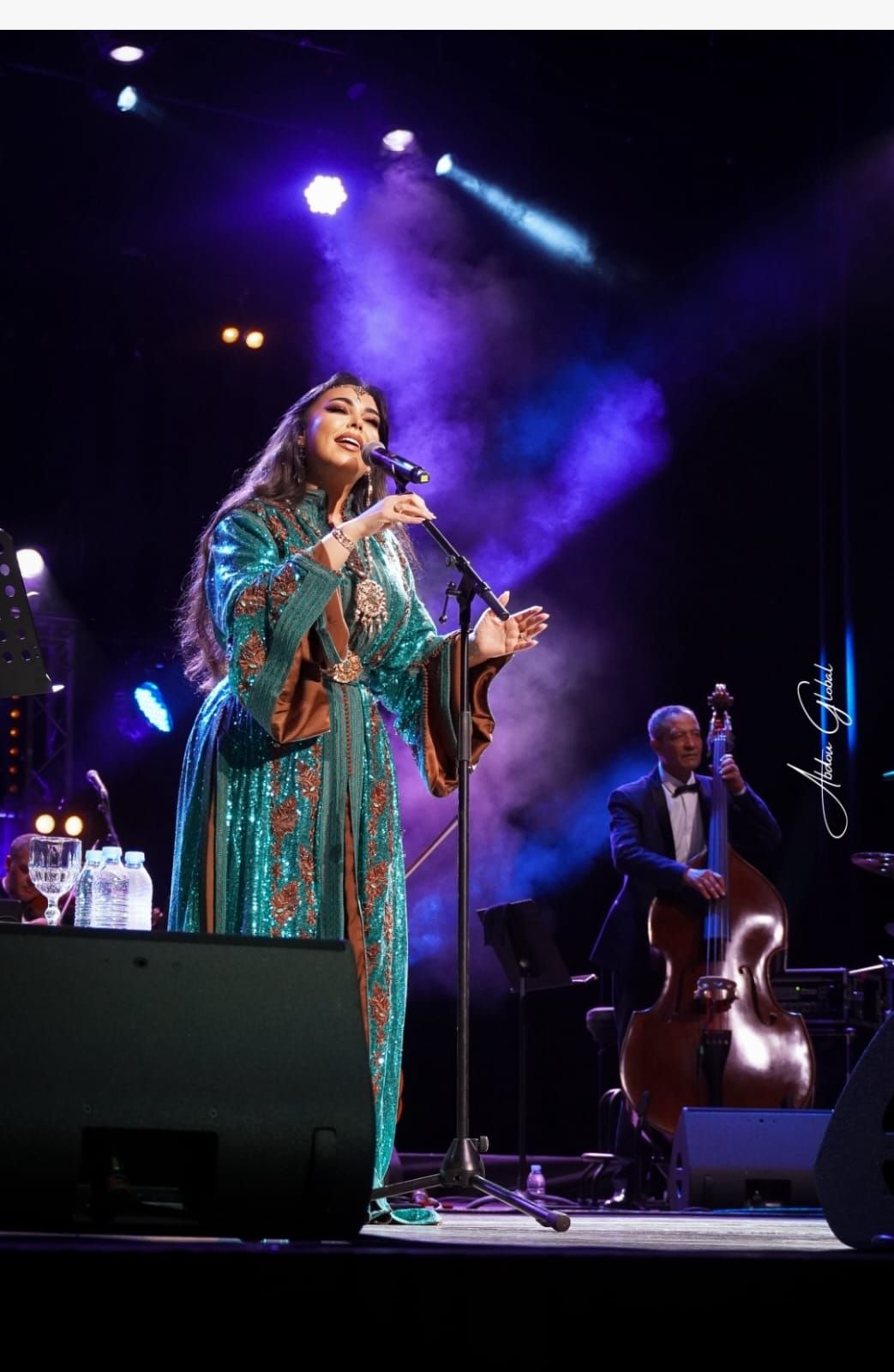 مروة ناجي مروة ناجي