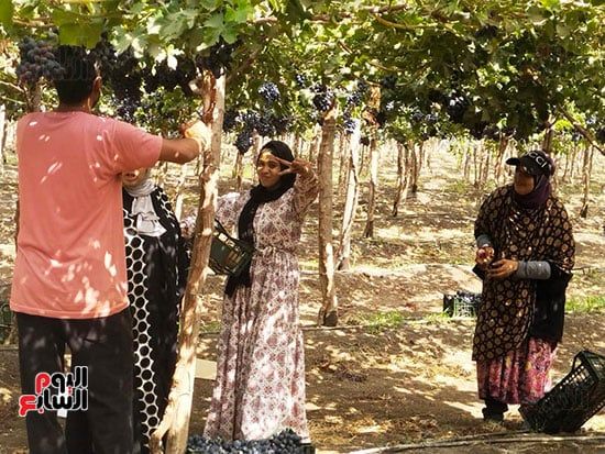 الفرحة-على-الوجوه الفرحة-على-الوجوه